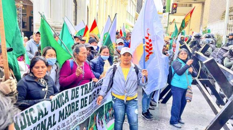 Ley 1720 Genera Debate en Bolivia